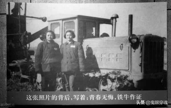 知青老田：遲到的情書，一生的遺憾