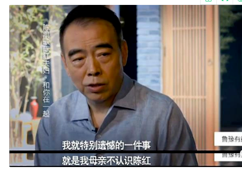 倪萍8年的付出,不敵陳紅一怒,能征服陳凱歌的女人,到底有多狠 倪萍8年的付出,不敵陳紅一怒,能征服陳凱歌的女人,到底有多狠