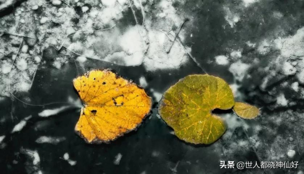 相由心生：你的長相，就是你內心的模樣