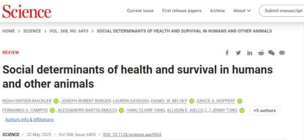 不做寂寞的奴隸，不做孤獨的鬼！研究提醒，長期一個人生活會折壽