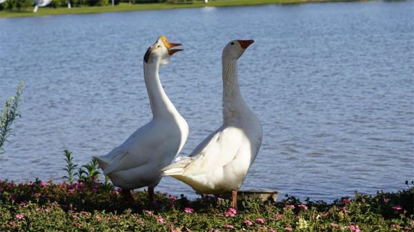 圖組丨踏著春光，迎接彌勒春暖花開