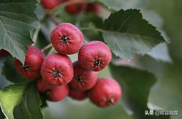 河南輝縣｜在寶泉秘境，我看到了風的顏色