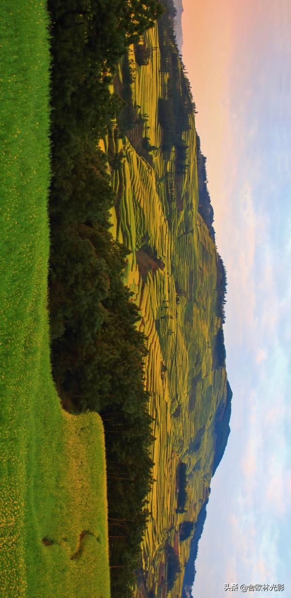 羅平馬街，一個把田地種成了風景畫的地方，山區賞花正當時哦