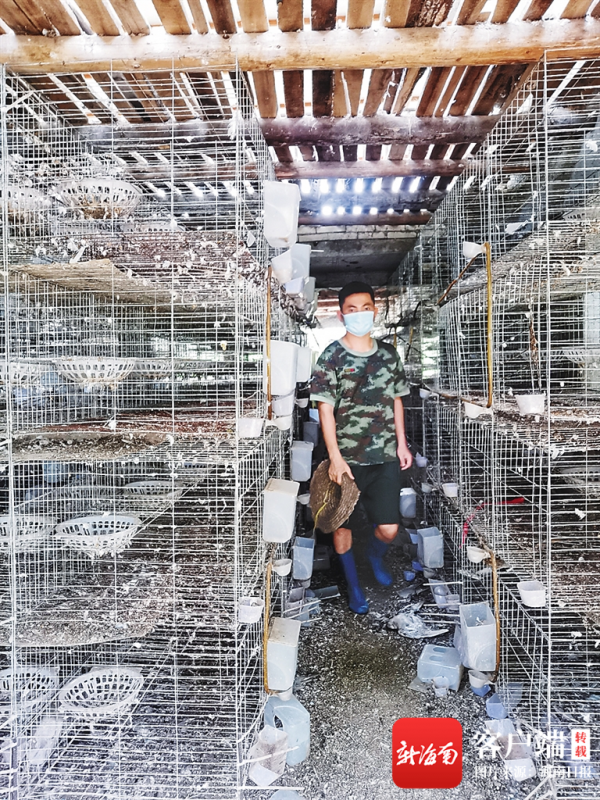 海南隴發生態農業有限公司法人李木青：讓青春在創業中閃光