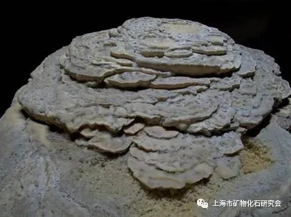 周梅教授：漫話方解石