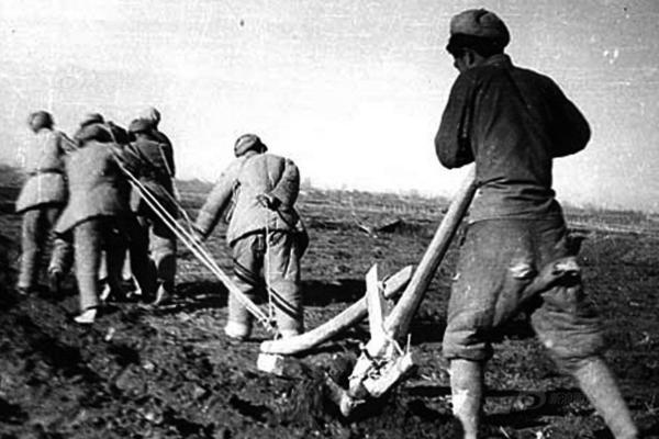 從農民到開國上將,王震10招擊敗許世友,主席曾為他破例 從農民到開國上將,王震10招擊敗許世友,主席曾為他破例