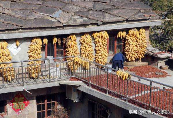 霜降過後，看太行山上的山民曬秋，景色有多美