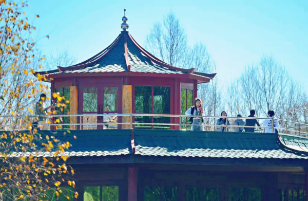 自帶濾鏡！最浪漫的秋天非她莫屬！