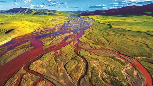 我們的國家公園|三江源，世界屋脊上的生命樂土