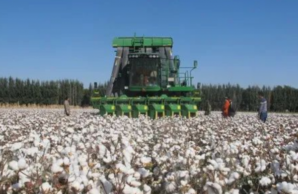 毛主席有多明智?成立新疆生產建設兵團,在荒漠中再造一個小江南 毛主席有多明智?成立新疆生產建設兵團,在荒漠中再造一個小江南