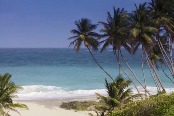 我國南華礁扼守南海水道，越南卻非法填陸45畝，偷雞不成反蝕米