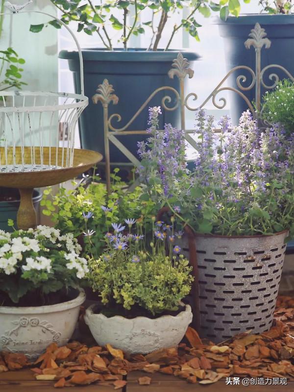 5平米的陽臺，改造之後種滿了花，居然可以美成這樣