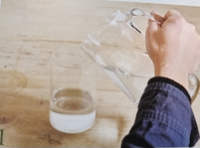 球根植物怎麼養？教你水培風信子