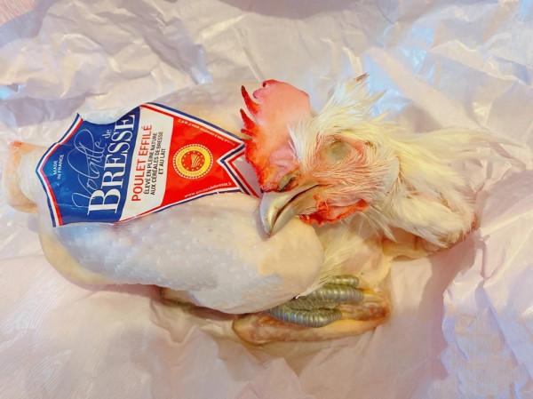 你真的吃得起雞嗎？價值不菲的六種“雞中貴族”，什麼雞值一套房