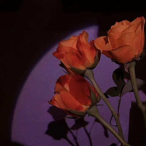 “沒資格的醋,吃起來最酸 “沒資格的醋,吃起來最酸