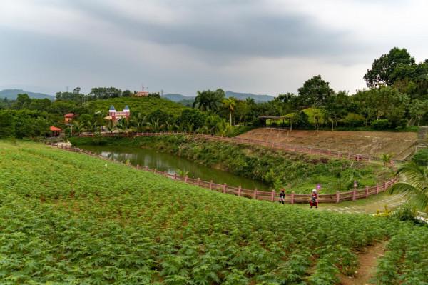 海南：一個美麗的夢幻香山芳香文化園