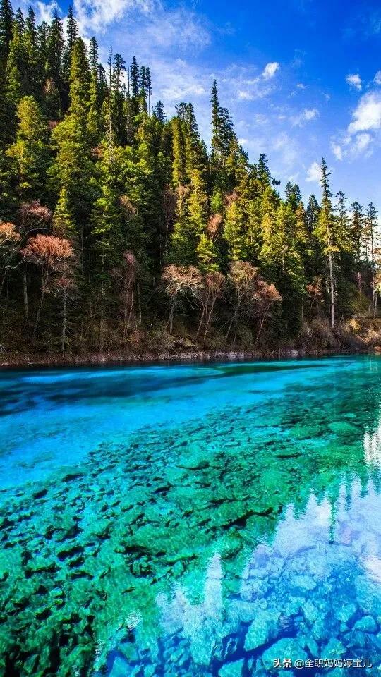 分享——令人迷幻的九寨溝