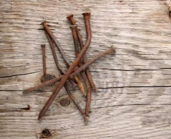 5種自制“生根劑”,家中養花必備,盆裡放點,半個月就冒大白根 5種自制“生根劑”,家中養花必備,盆裡放點,半個月就冒大白根