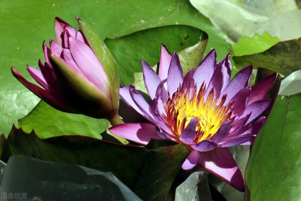 人過六十，你走過的每一步路都是歸途