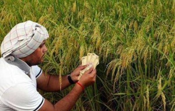 同是農業大國，為何印度出口糧食，而我國不缺糧卻要到處買糧