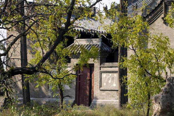 山西一古落村，鐵梨花取景基地，現如今雜草叢生