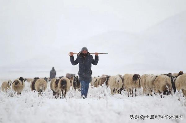 冬天來了：冬季的第一場雪覆蓋了土耳其