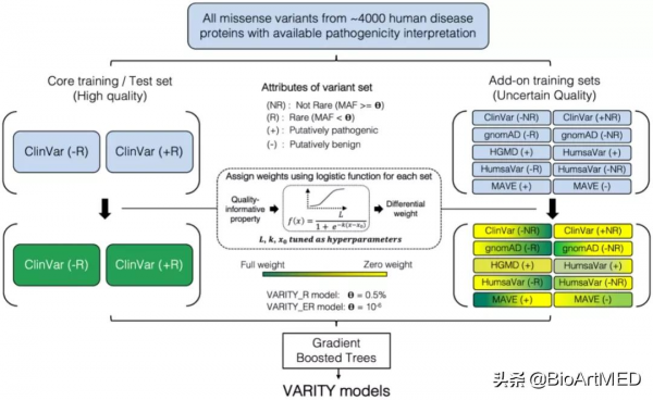 精準醫學的利器：針對罕見人類基因錯義變異致病性的預測模型