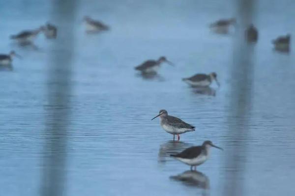 在長三角一體化示範區,尋找秋天的色彩 在長三角一體化示範區,尋找秋天的色彩