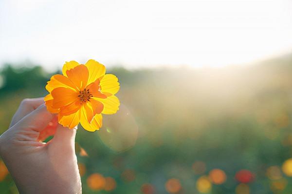 一個人最聰明的活法:擺正自己的位置 一個人最聰明的活法:擺正自己的位置