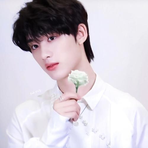 再出新規！《快樂大本營》停播，王一博大張偉退出《天天向上》