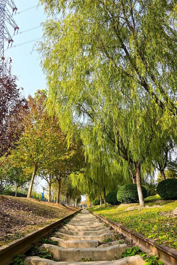 獨一無二！公園裡也能跑火車！京西這處免費的森林公園，值得玩