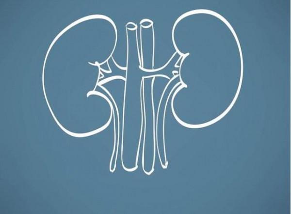 血肌酐超過安全線，患者在日常飲食上應該注意什麼？