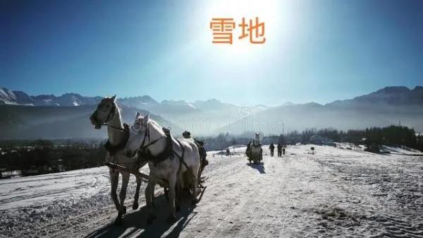 1912年，湘西王部隊穿越羌塘無人區，斷糧七個月，115人僅7人生還