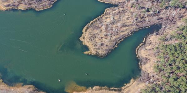 尼爾贏得 2022 年 MLF 職業巡迴賽Sam Rayburn站冠軍