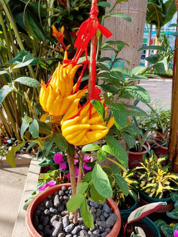 北京週末去哪兒?冬天室內遊玩遛娃的好地方!門票只要10塊錢 北京週末去哪兒?冬天室內遊玩遛娃的好地方!門票只要10塊錢