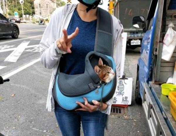 貓媽背孩子到處求救，卻換來醫生一句安樂死，貓媽：救我的孩子