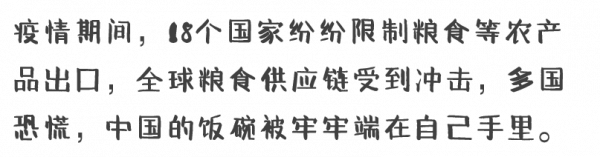 糧食，歷史最深層的決定者