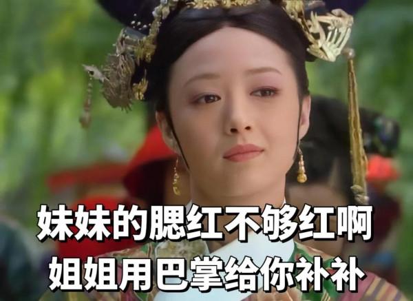 甄嬛傳拽姐表情包