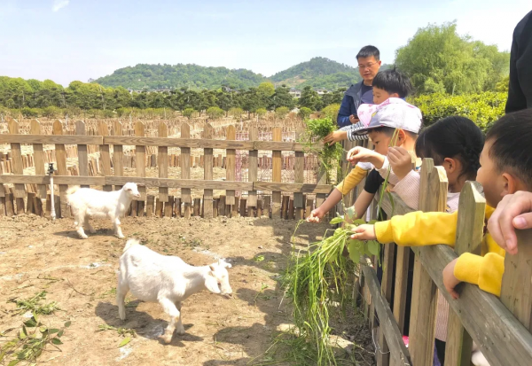 育見星球大自然課程「尋找泡泡樹」——小探究，大學問