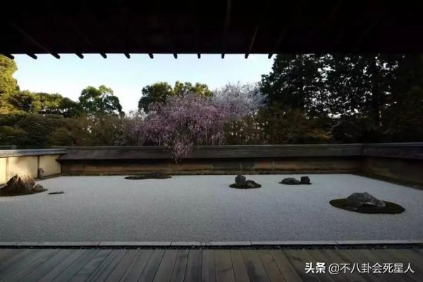 《雪中悍刀行》切腹鏡頭惹群嘲,日式元素層出不窮,古裝劇怎麼了 《雪中悍刀行》切腹鏡頭惹群嘲,日式元素層出不窮,古裝劇怎麼了