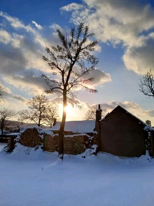 散文:大雪,深情的詩畫 散文:大雪,深情的詩畫