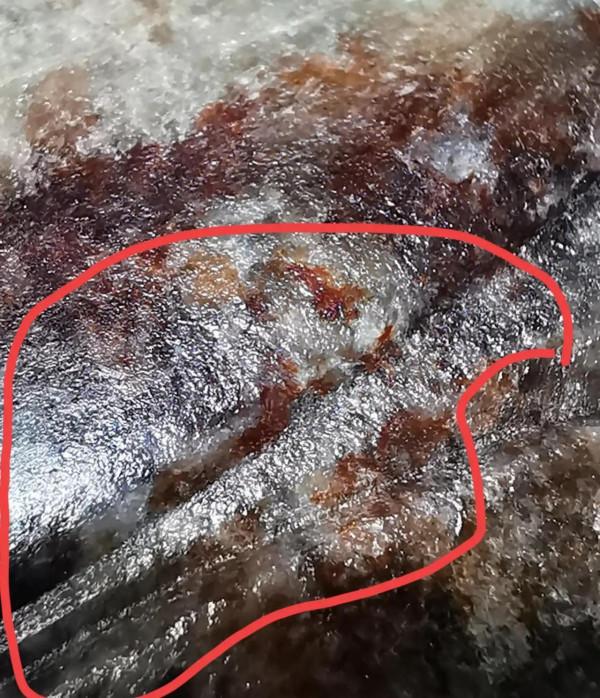 非常漂亮高古紅沁知了皮殼所表現的無法可仿本質特徵，跟仿品比較