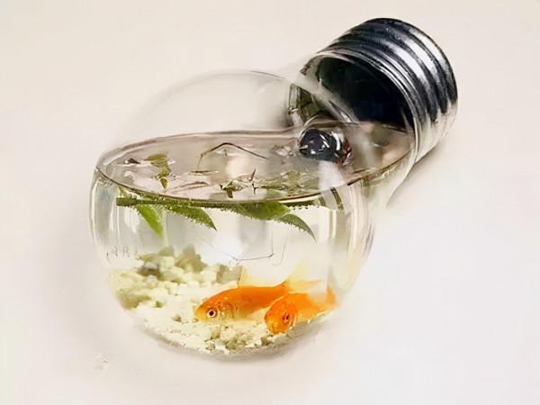 手工DIY丨值得一試的小手工（滴膠燈泡海景）