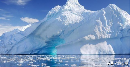 南極新的生命體沒有食物來源卻存活千年 南極新的生命體沒有食物來源卻存活千年