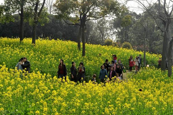 怎樣看待米國社會的穩定性