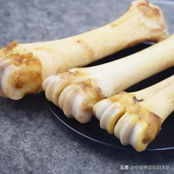 花盆裡撒點粉，防蟲又防爛根，葉子蹭蹭長，花兒輕鬆開滿盆