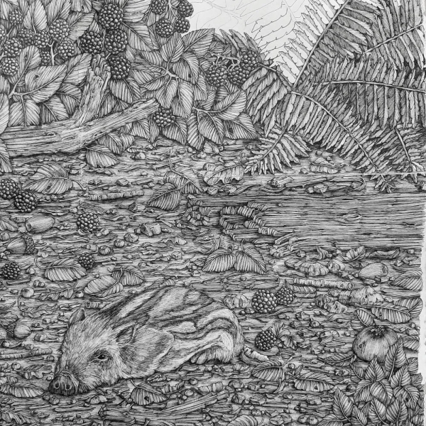 這女的很&quot;變態&quot;! 用一支0.05mm的針管筆，就征服了英國王子！厲害