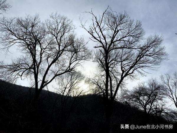 冬日行走京西古道（王平——圈門段），徒步15公里，歷時6小時