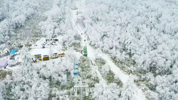 元旦最強攻略出爐！小眾美景、愜意度假、全家出遊都有，拿走去耍