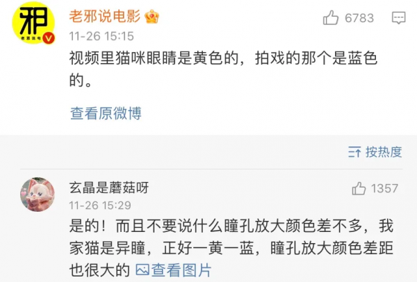 所以於正劇組虐貓了嗎